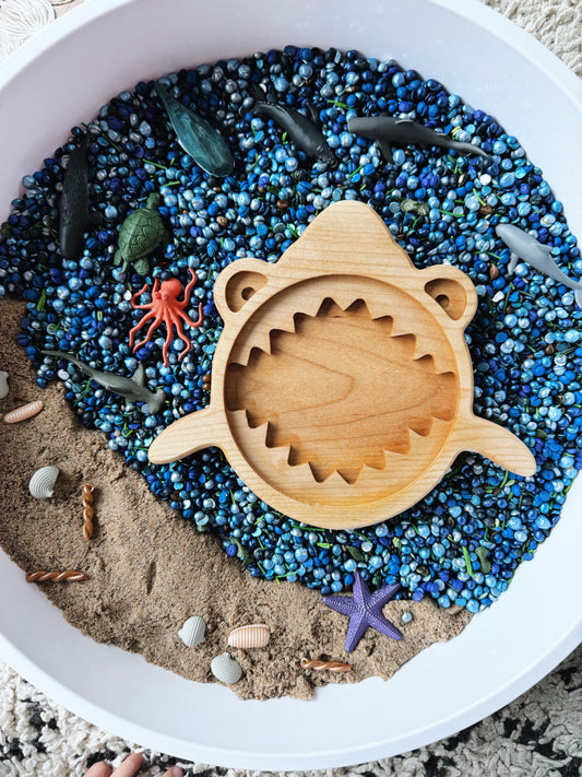 Hungry Shark Tray