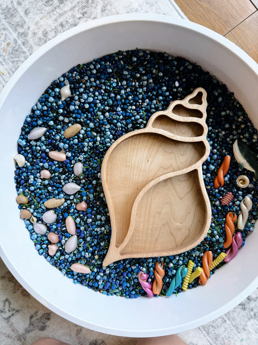 Large Seashell Tray