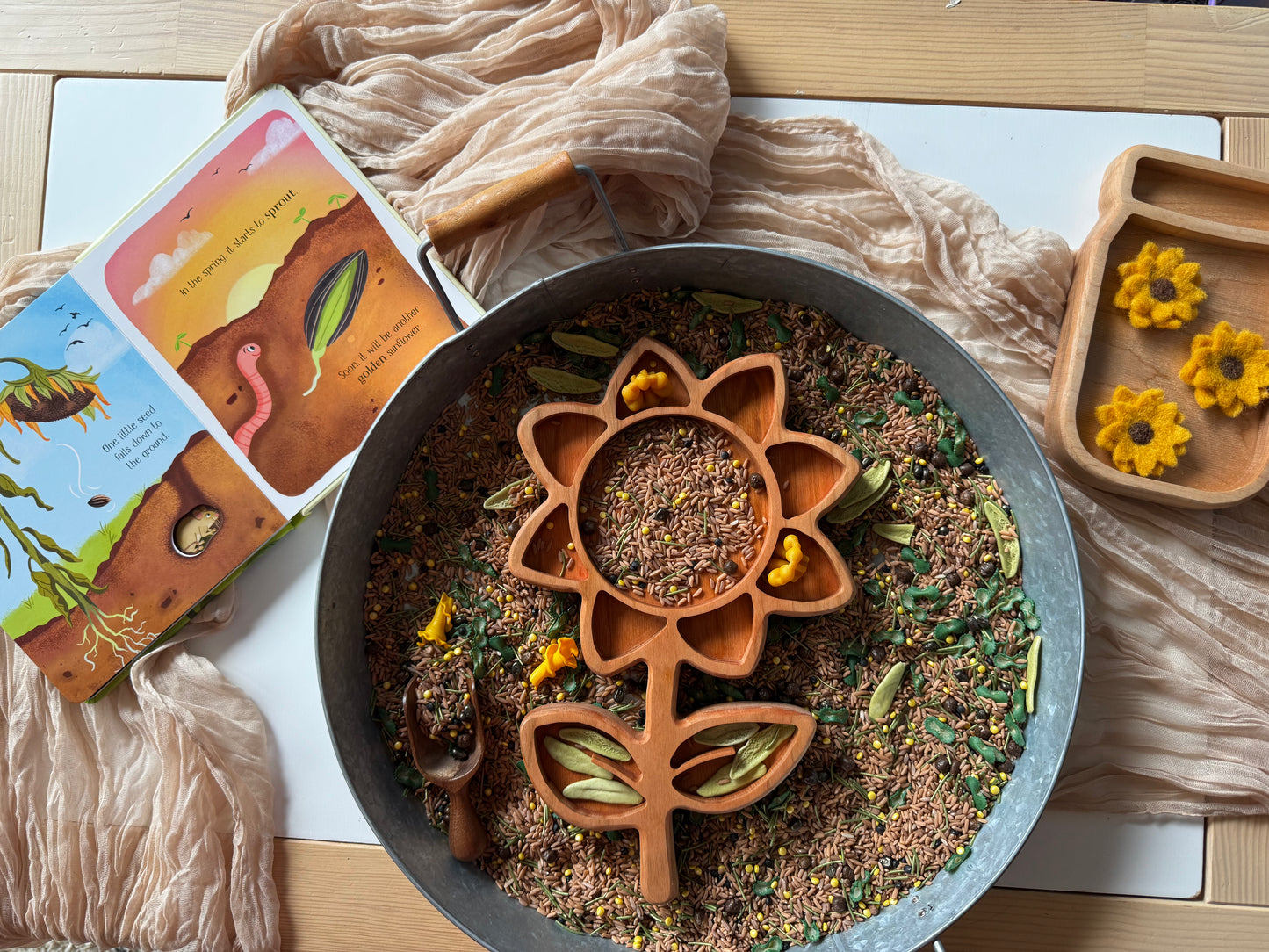 Sunflower Life Cycle Bookish Play Bundle