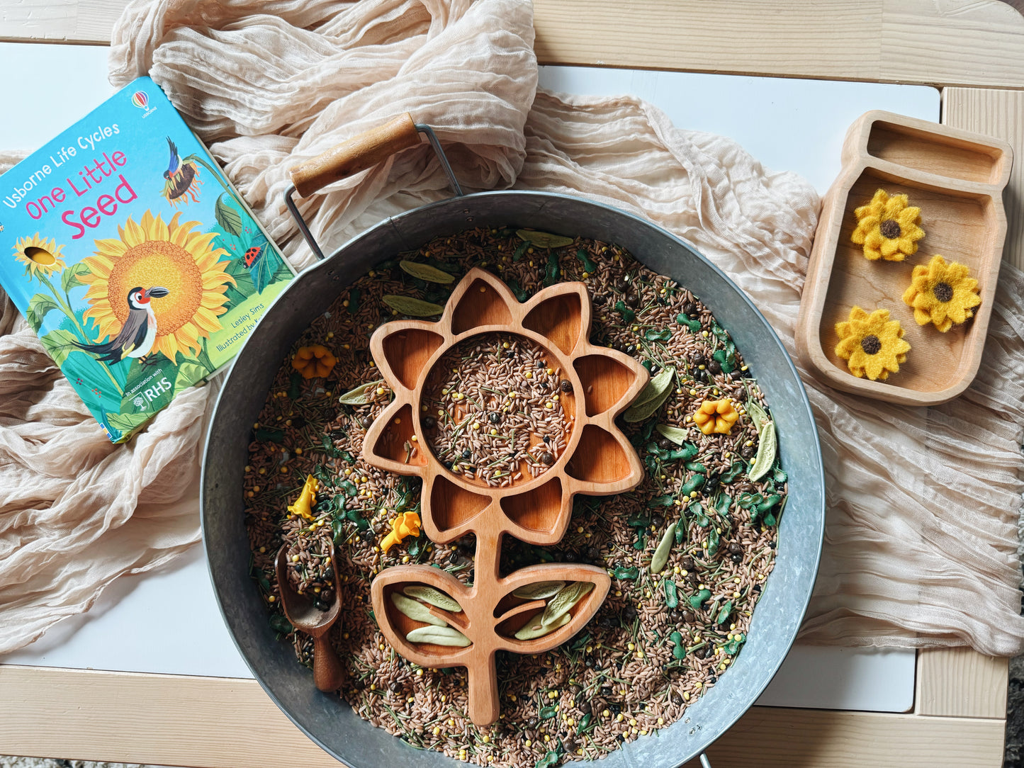 Sunflower Life Cycle Bookish Play Bundle