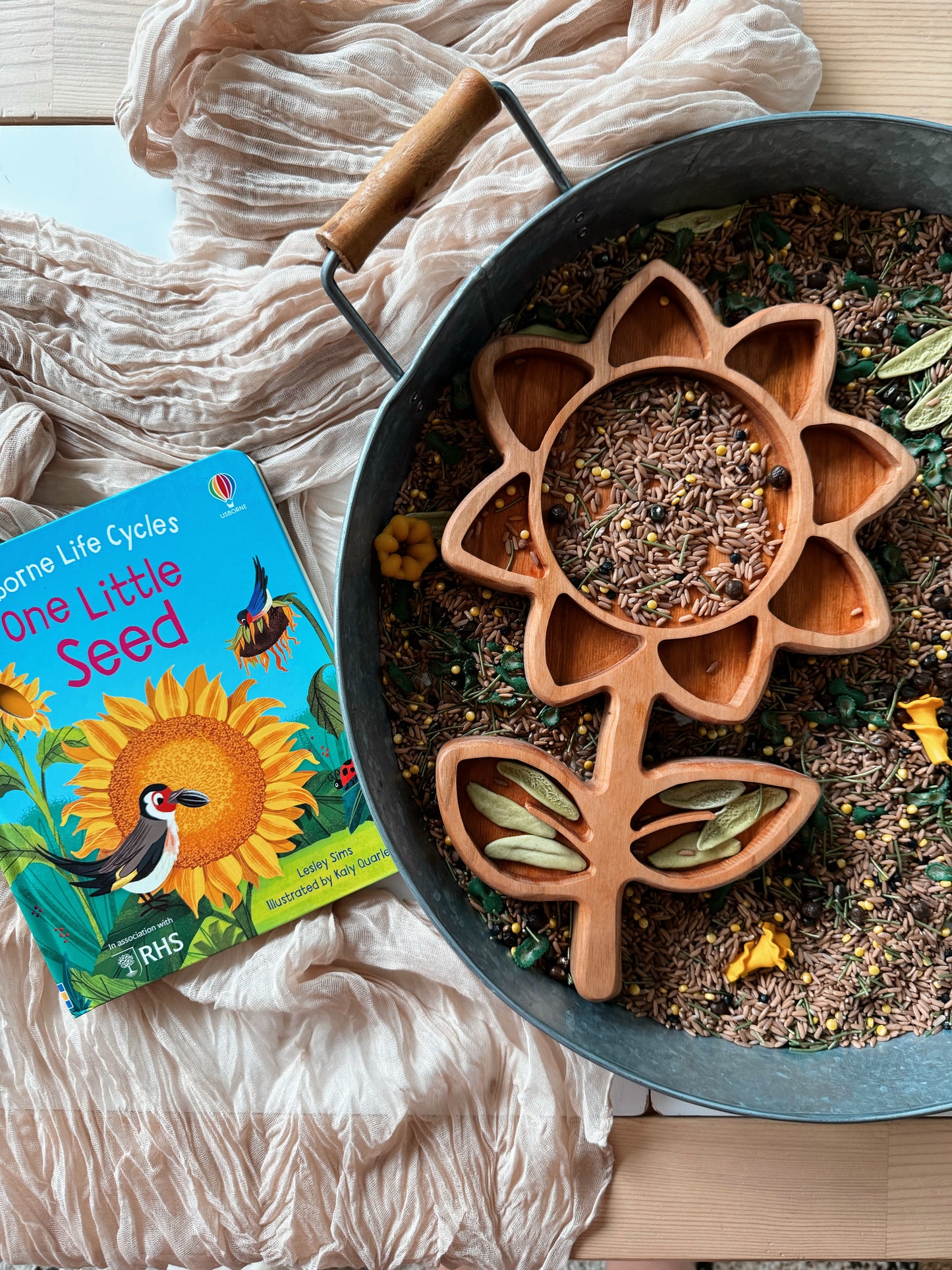 Sunflower Life Cycle Bookish Play Bundle