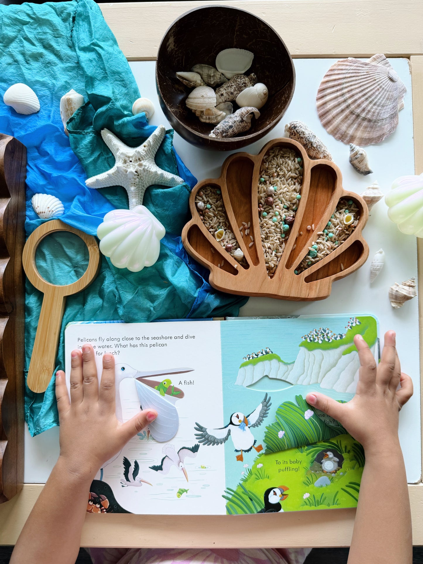 Seashore Bookish Play Bundle