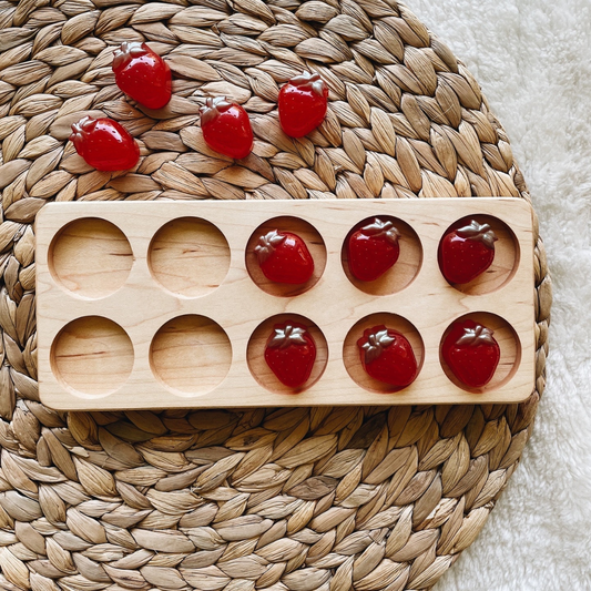 Standard Ten Frame with Resin Loose Parts