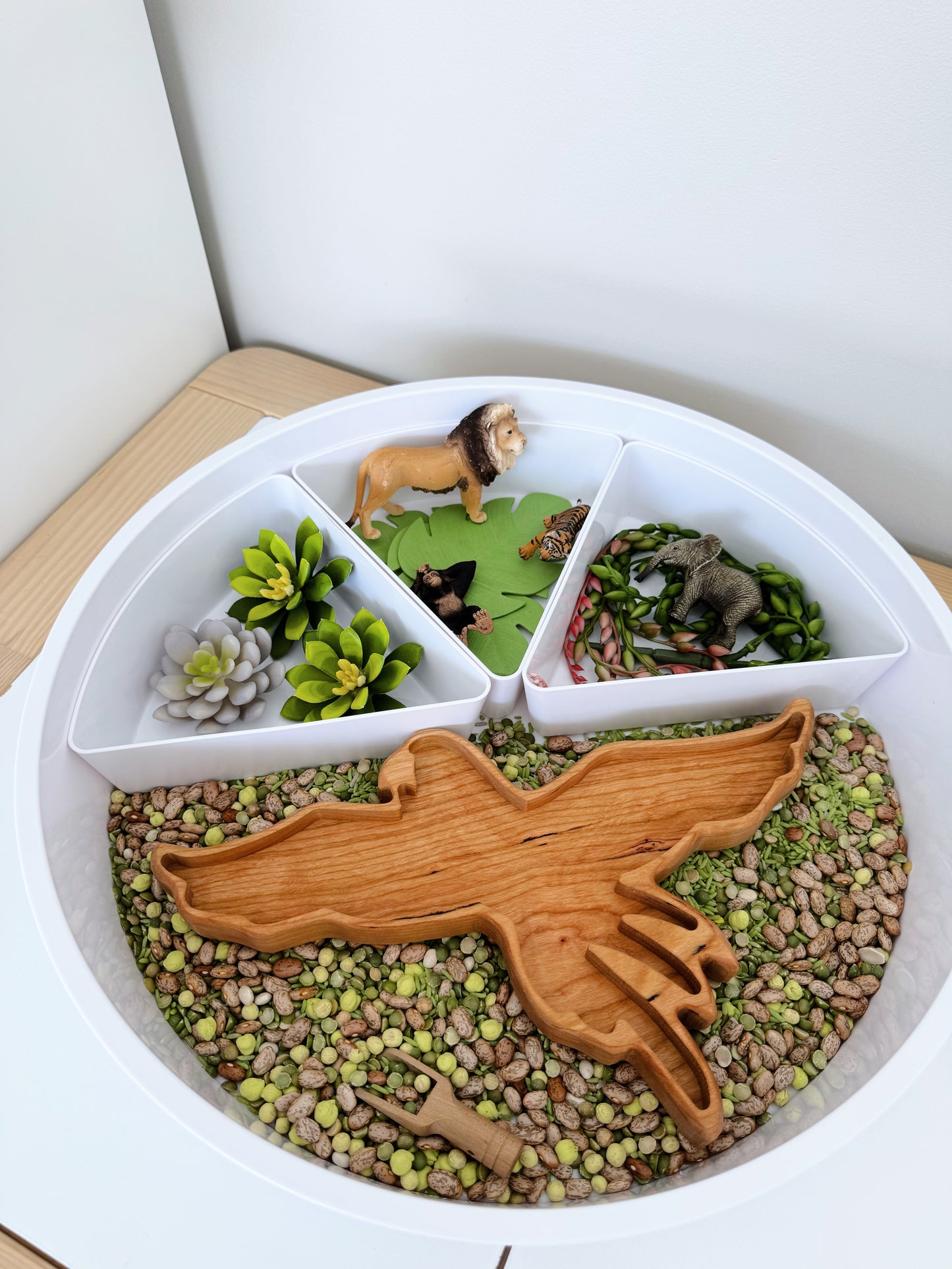Parrot Tray