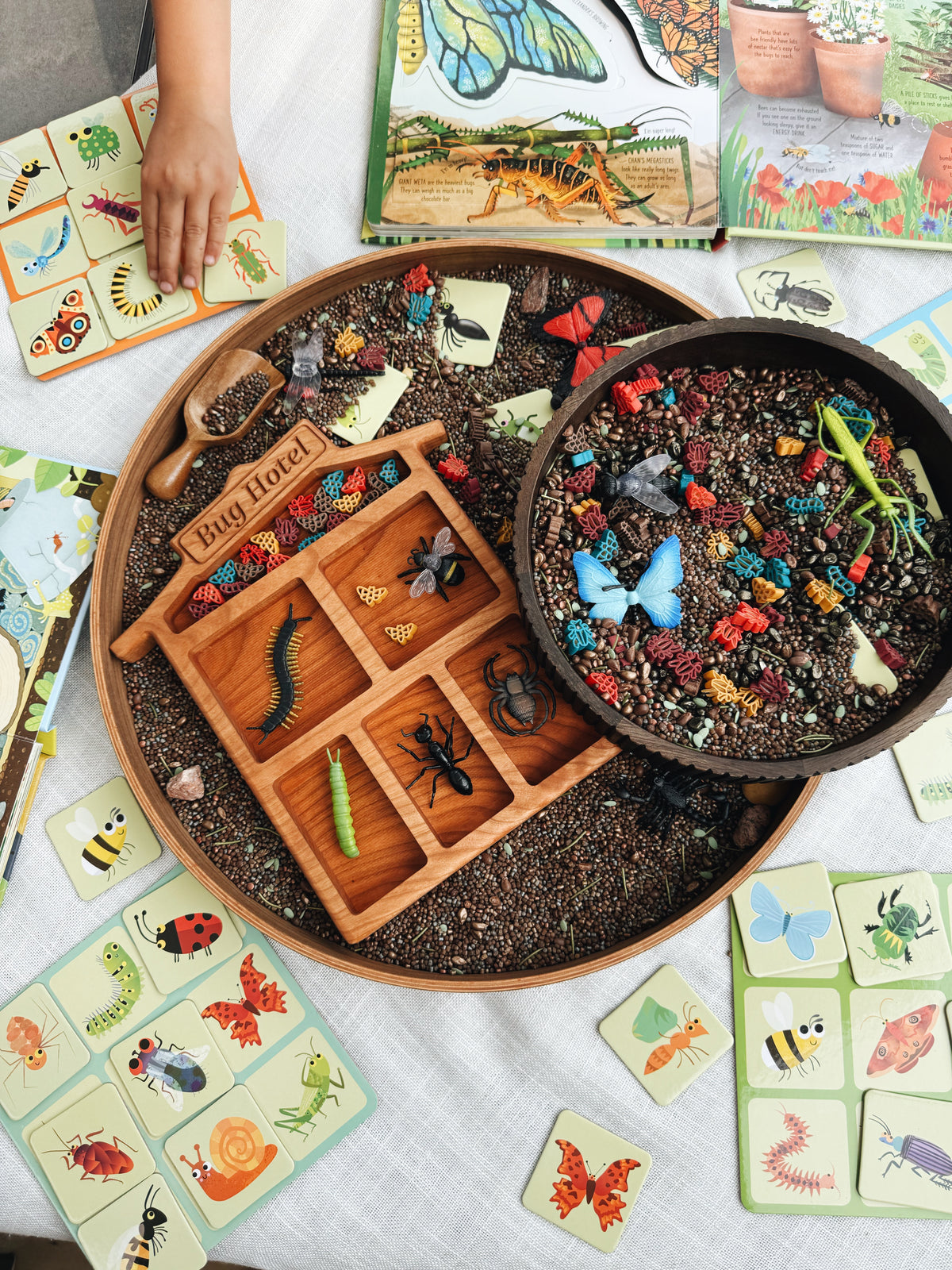 Bug Hotel