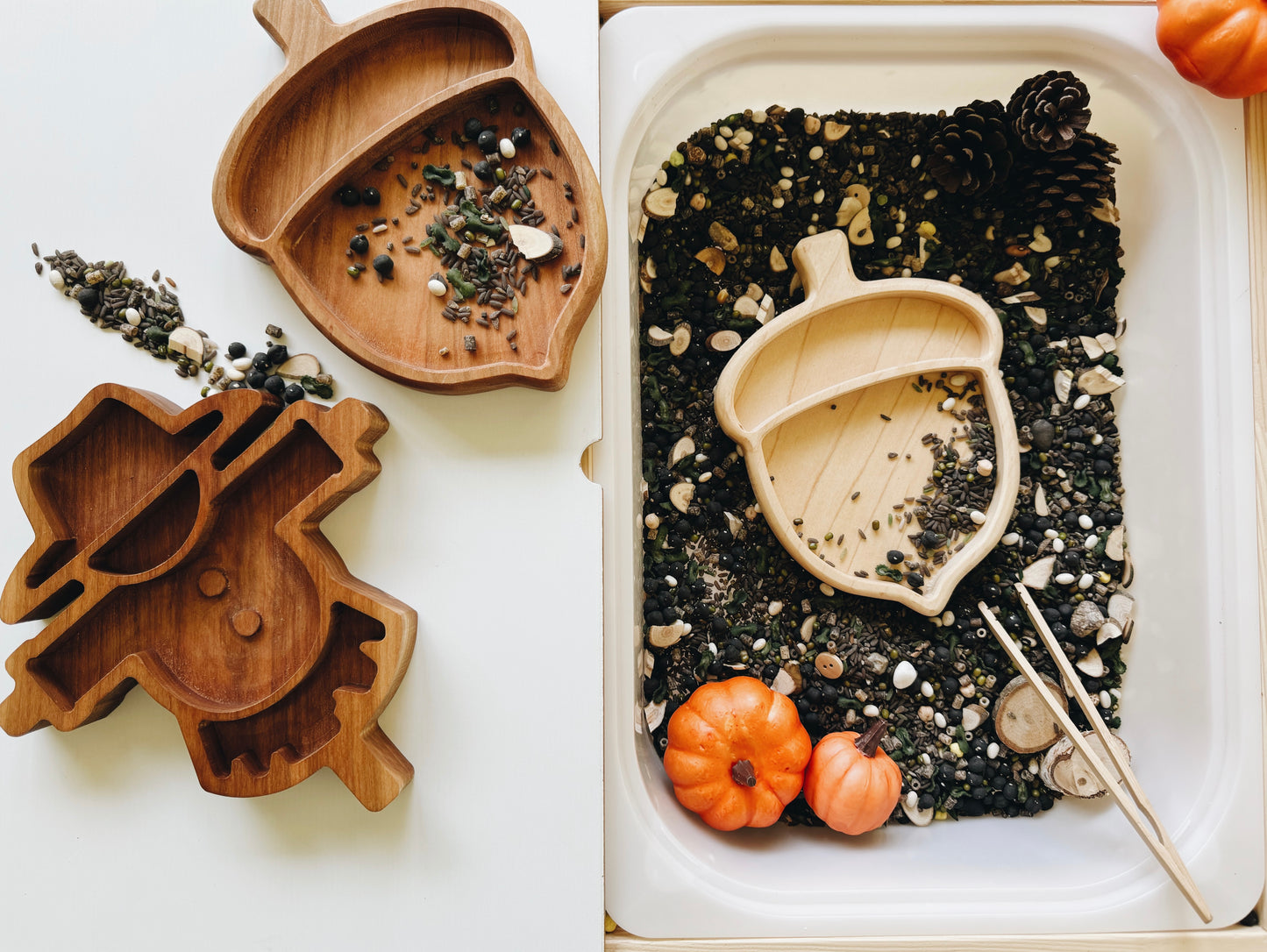 Acorn Tray