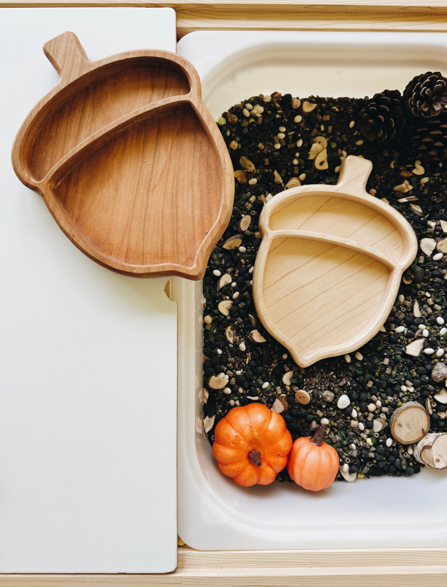 Acorn Tray