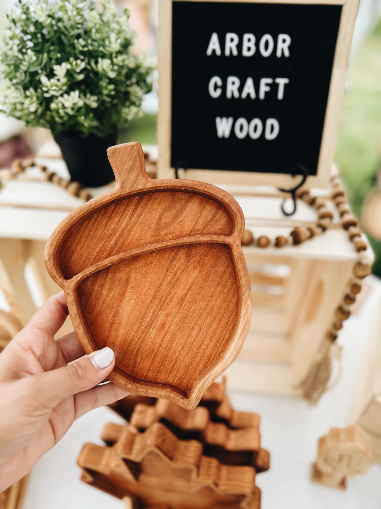 Acorn Tray