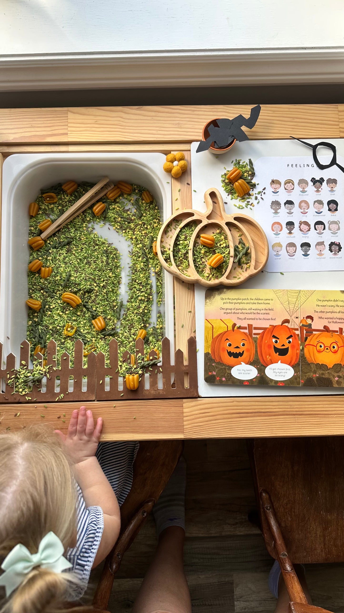 Pumpkin Tray